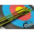 Стрела лучная фибергласс Centershot Spark 500, Parabolic 3"
